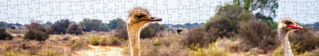 Puzzle-Kollektion Strauß puzzleYOU